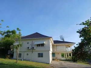 Royal View Villa - Мандевилл