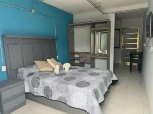 Loft en el corazón de Orizaba - Carrizal