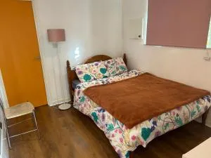 Private mini apartment - London