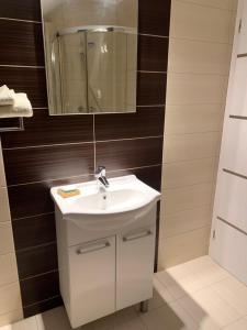 Studio SPA z leśną sauną, jacuzzi , w okolicy Cieszyn