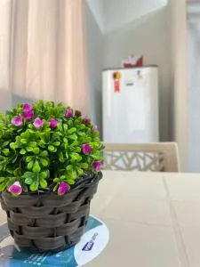 Pousada opção - 科鲁里皮