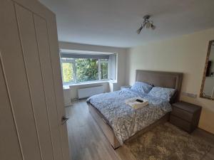 Cosy and Nice Apartment