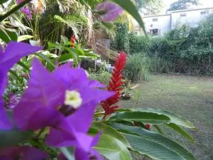 Cocon Siloé - Roussel