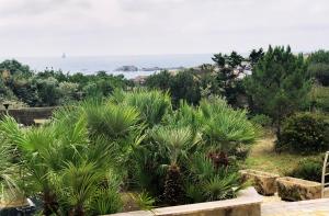 Villa Angeli