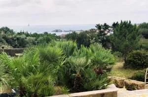 Villa Angeli - Talmont