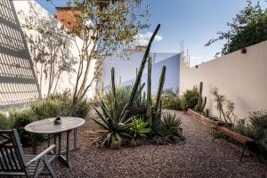 Casona del Buen Huerto, Modern 2BR Home in Queretaro