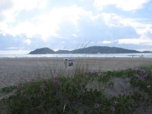 Apê Loft Home Office - Campeche - Floripa