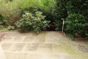 Cozy Central Apartment