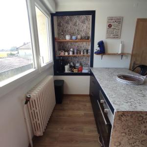 Appartements Appart Aux Berges du Mont : photos des chambres