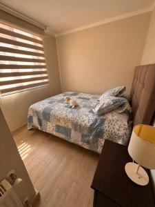 Apartment in Quintay