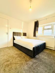 224 Newcastle Street