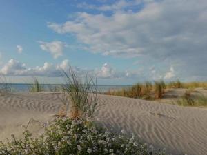 Chalets Chalet near Lake and Pool in Quend-Plage : photos des chambres