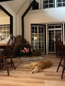 The Bunkhouse Hakuba by Mr T