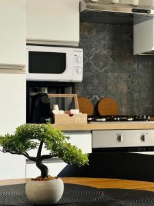 Rome & Giulietta apartment