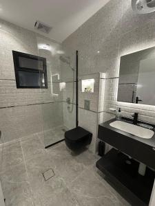 Modern living and bedroom