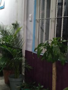 Servicios de Hospedaje