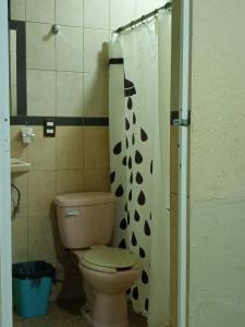 Servicios de Hospedaje