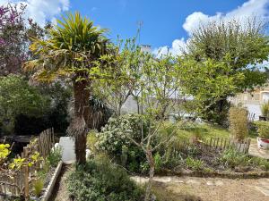 Maisons de vacances Maison vintage proche foret avec parking, animaux acceptes - FR-1-652-15 : photos des chambres