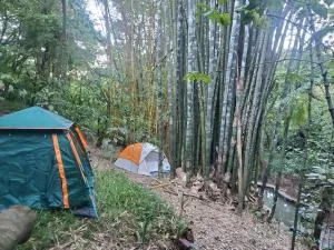 Campamento equipado de bosque - 库埃察兰德尔普罗格雷索