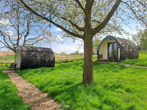 B&B Uit de Kunst APPEL