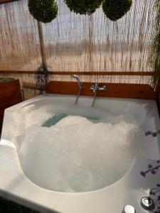 Beehouse TinyGreen Jacuzzi Opcional