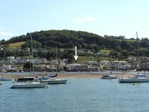 The Dolphins - Shaldon