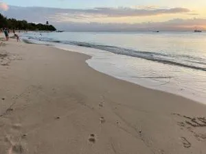 Ti kaz a fredo - Port-Louis