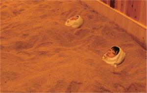 空港道頓堀直通天下茶屋駅5分