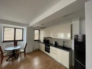 Luxury Central Apartments - Grey - Podişu Slobozia