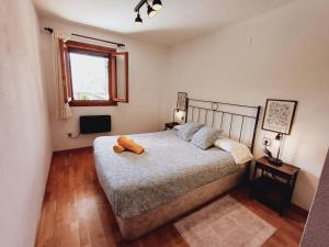 La Terraza de Escarrilla, con piscina