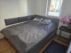 Haus Dresden, Pool, Garten, Terrasse, familienfreundlich