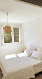 Cocon vue mer sur Presquîle