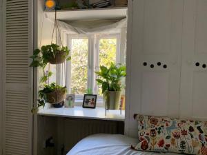 Charming, plant-filled cottage