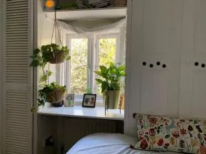 Charming, plant-filled cottage - Stanton Saint John