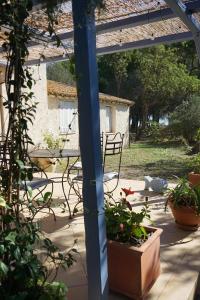 Maisons de vacances Joli Mas au bord de l'Etang de Thau : photos des chambres