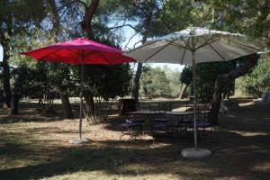 Maisons de vacances Joli Mas au bord de l'Etang de Thau : photos des chambres