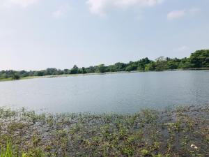 Wauthaulla Homestay