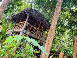Wauthaulla Homestay