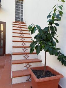 Cortile Cipriani