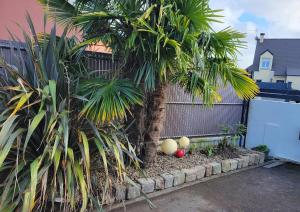 Maisons de vacances Maison cosy entre mer et Briere : photos des chambres