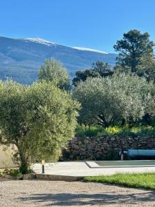 Villas Villa les Oliviers : photos des chambres