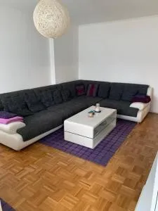 Schöne, große Wohnung in Wels - تريبن