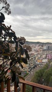 Blue Boutique Apartments 3