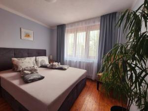 Ubytovanie Klinger - chata nad jazerom