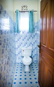 Serene Evergreen Haven