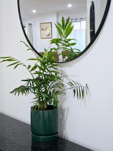 Spacious and stylish house, close to Metro, fully AC