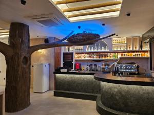 Elixir Del Mar on the Beach