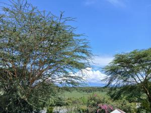 Matteos Italian Restaurant,Bar & Accommodation