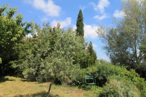 Maisons de vacances O Grand Air : photos des chambres