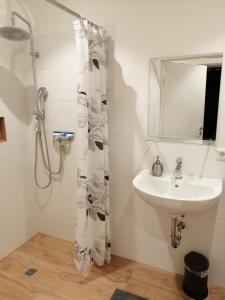 Studio mit 1 Schlafzimmer